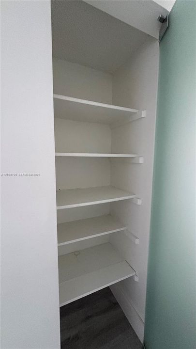 Built-in pantry featuring white shelving and a frosted glass door panel