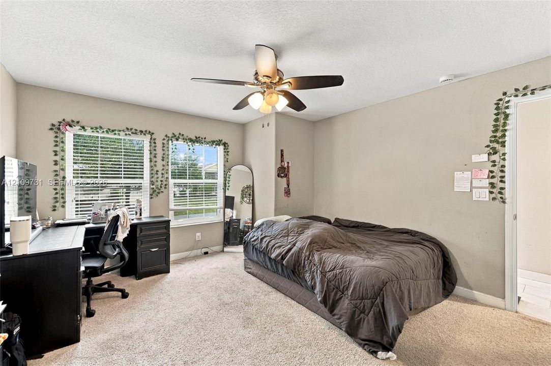 Neutral-toned room featuring dual windows, carpeted flooring, and a multi-light ceiling fan