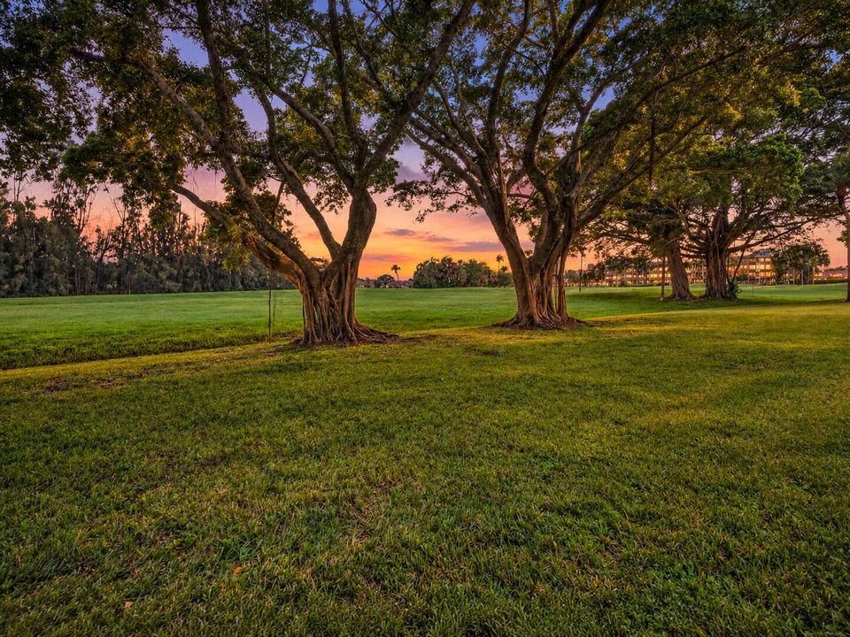 Evening