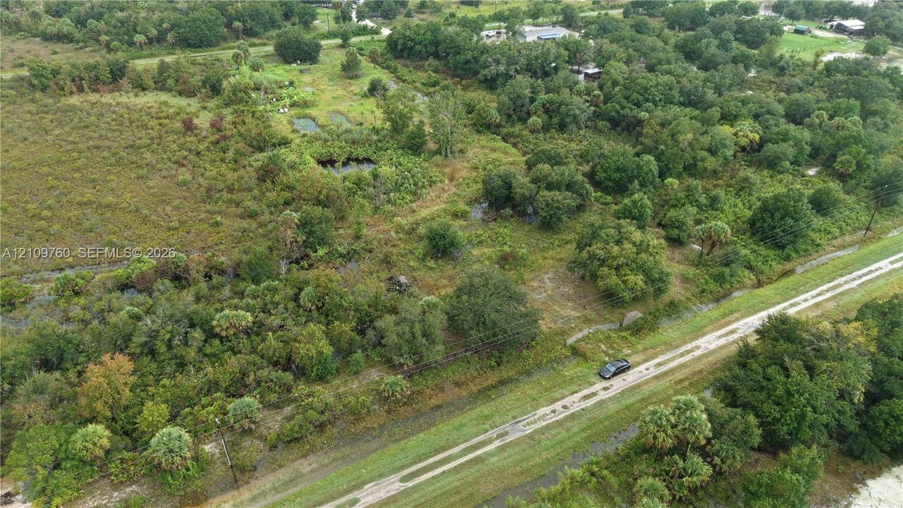 Expansive acreage featuring mature trees, natural vegetation, water features, and unpaved road access