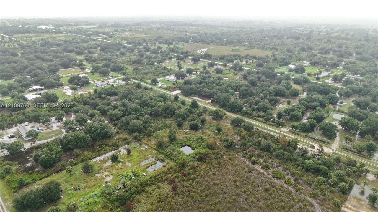 Aerial perspective featuring expansive acreage, mature tree canopy, and natural terrain