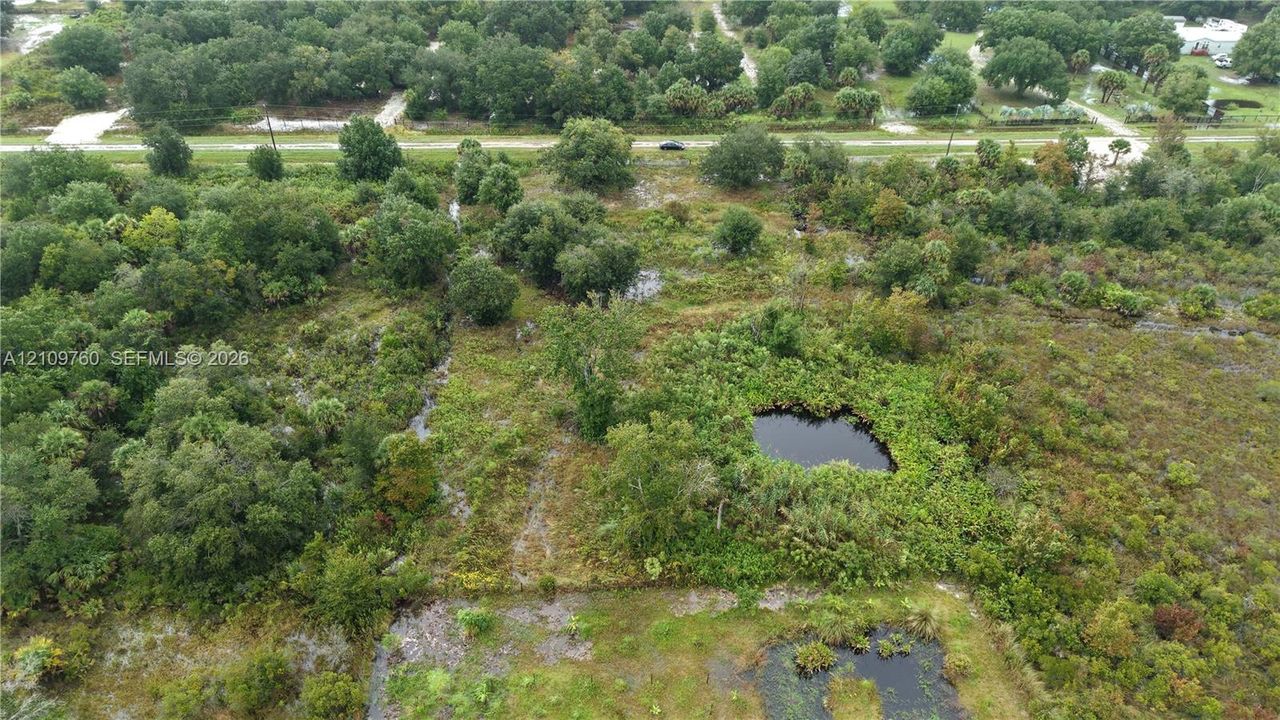 Expansive acreage featuring native vegetation, mature trees, and multiple natural water features