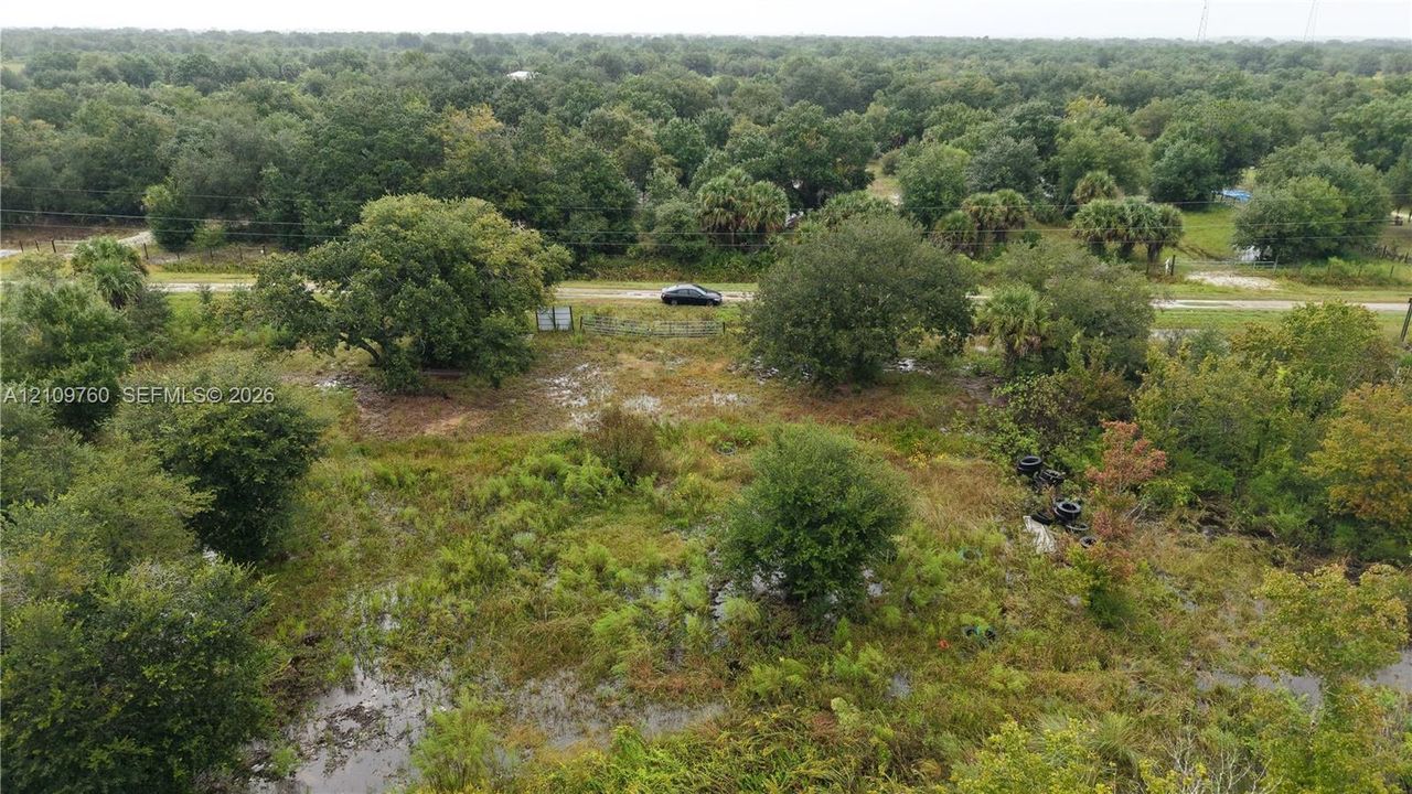 Expansive parcel featuring mature trees, native vegetation, and direct paved road frontage