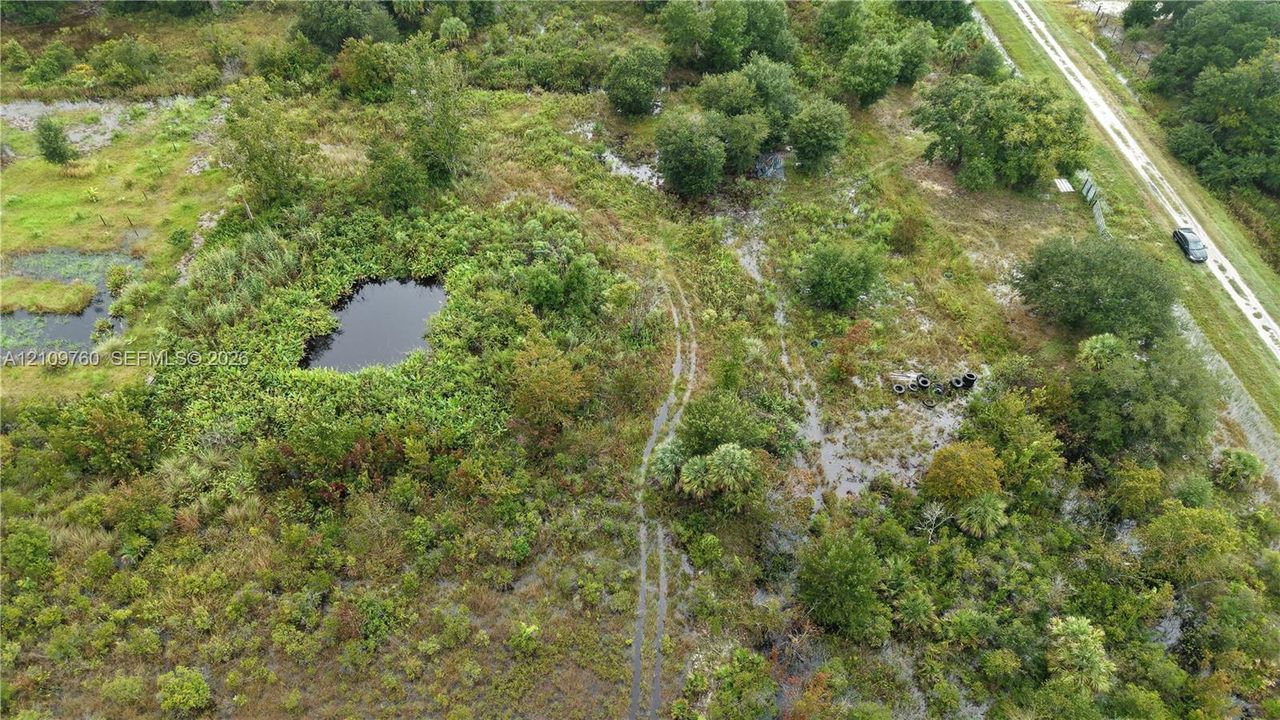 Expansive acreage featuring natural vegetation, native trees, and an on-site pond