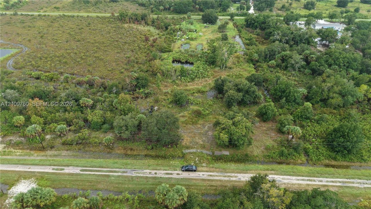 Expansive parcel featuring mature trees, native vegetation, natural surface water, and unpaved road frontage
