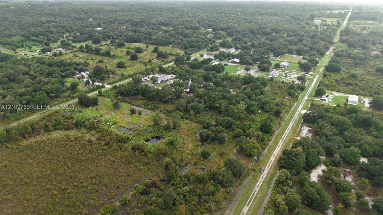 Expansive acreage featuring mature trees, natural vegetation, and open land areas with direct access to a paved thoroughfare