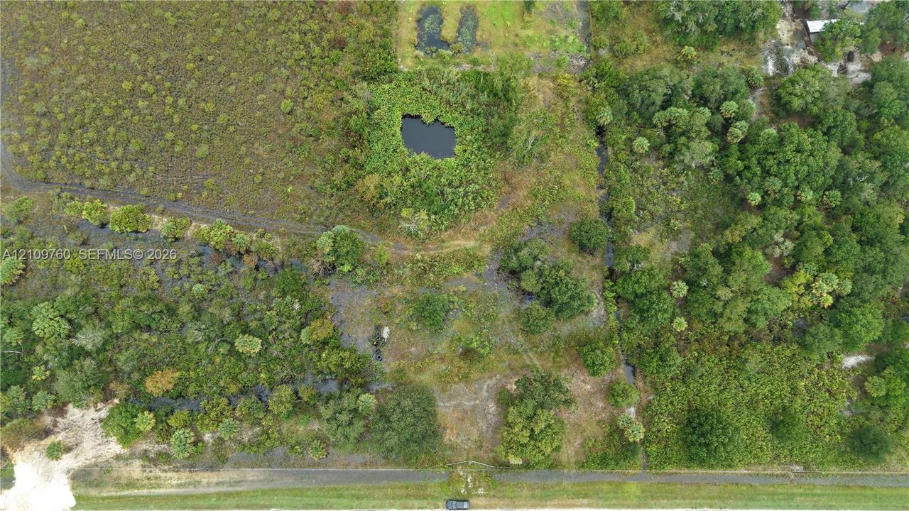 Aerial perspective of expansive acreage featuring native vegetation, wooded areas, and natural pond features