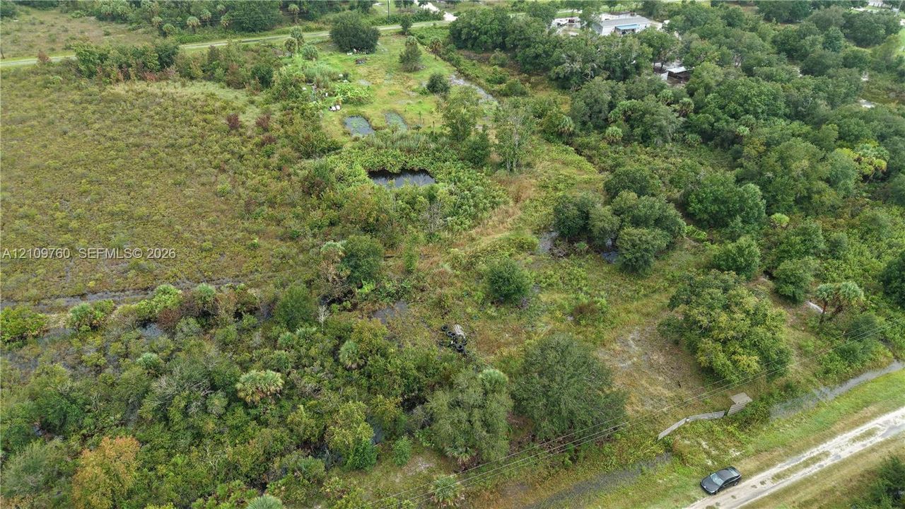 Expansive acreage featuring mature trees, natural vegetation, surface water features, and direct road access