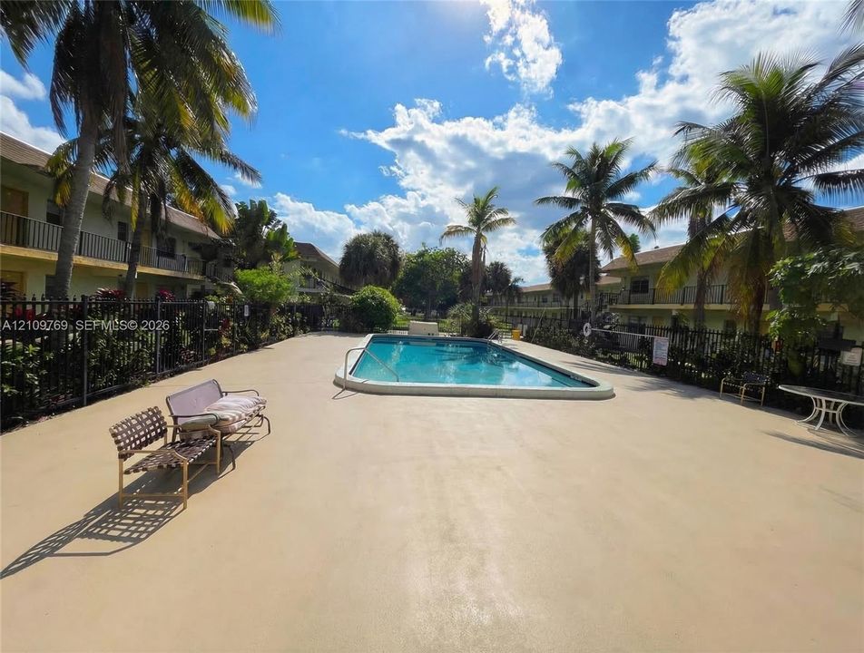 In-ground swimming pool featuring a concrete deck, metal perimeter fencing, and mature palm trees