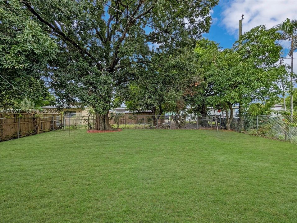 Expansive backyard featuring a manicured lawn, perimeter chain-link fencing, and mature trees