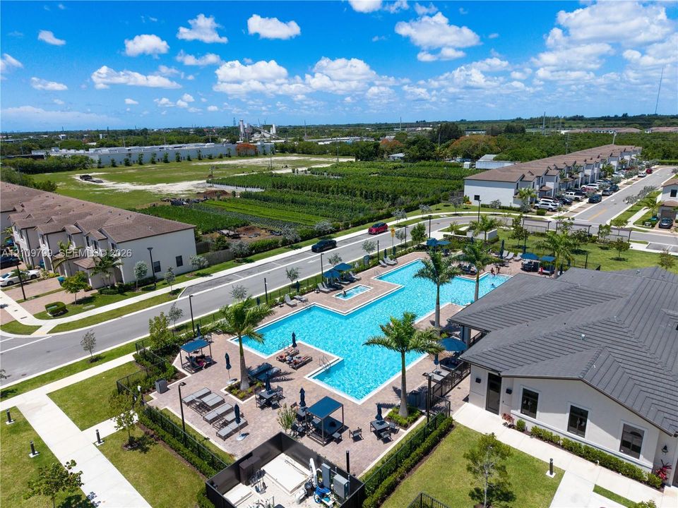 Community amenity area featuring a swimming pool, paved sundeck, palm tree landscaping, and a clubhouse with a dark-tone roof
