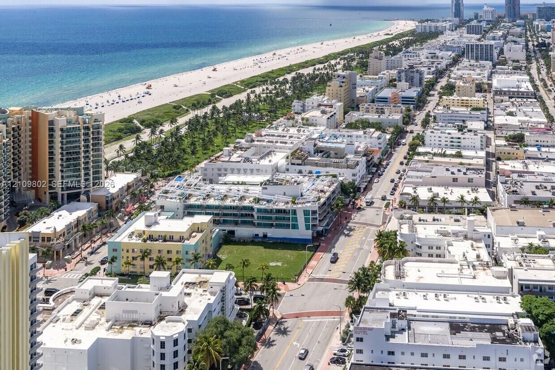 Aerial perspective of a coastal urban district featuring proximity to an expansive shoreline, dense multi-story architecture, and established palm tree landscaping