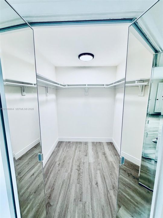 Walk-in storage space featuring wood-finish flooring, full-height mirrored doors, built-in shelving, and a ceiling-mounted light fixture