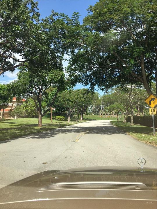 Asphalt roadway featuring mature trees and landscaped grass borders