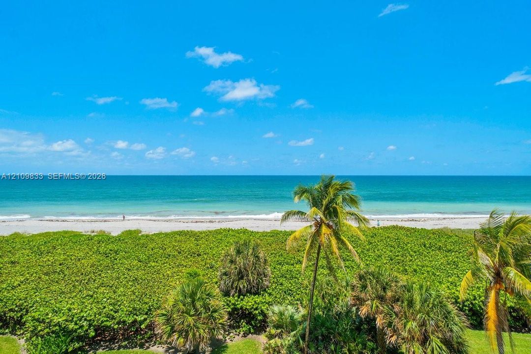 Oceanfront perspective featuring a sandy beach, coastal vegetation, and mature palm trees