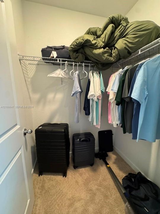 Reach-in storage closet featuring neutral-toned carpeting and wire shelving