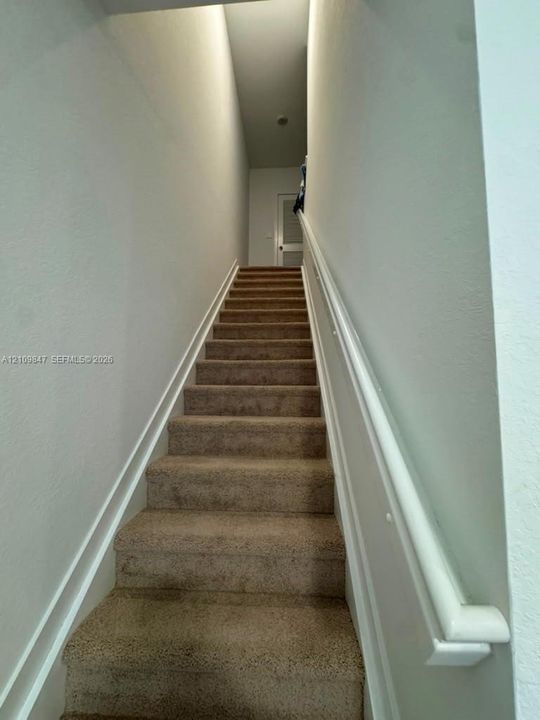 Staircase featuring wall-to-wall carpeting and a white handrail