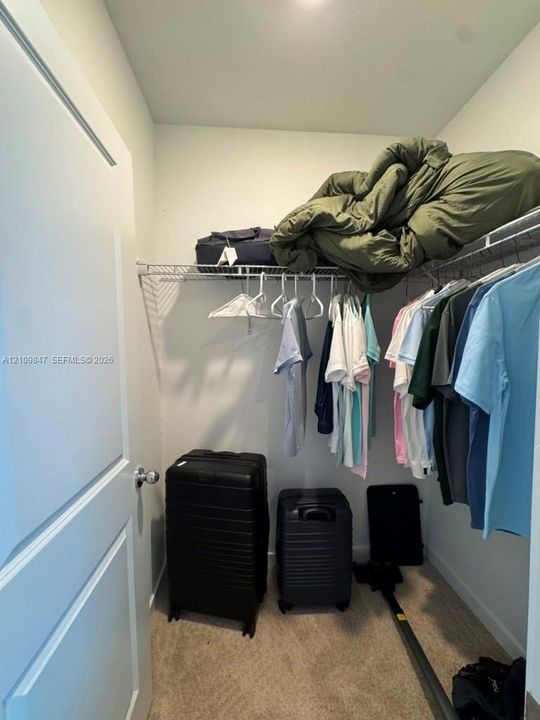 Reach-in closet featuring wall-to-wall wire shelving and neutral wall-to-wall carpeting