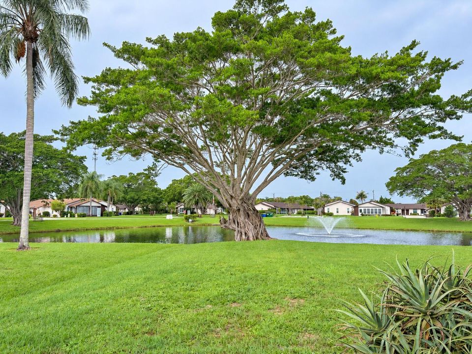 Lake_view