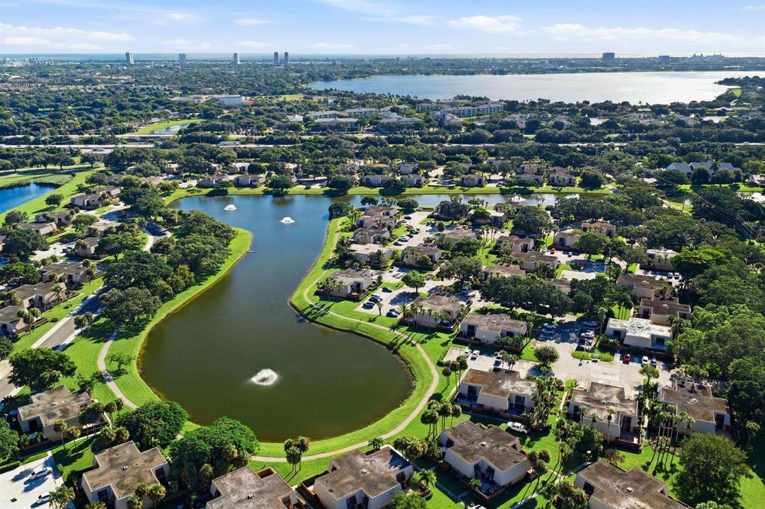 Area view