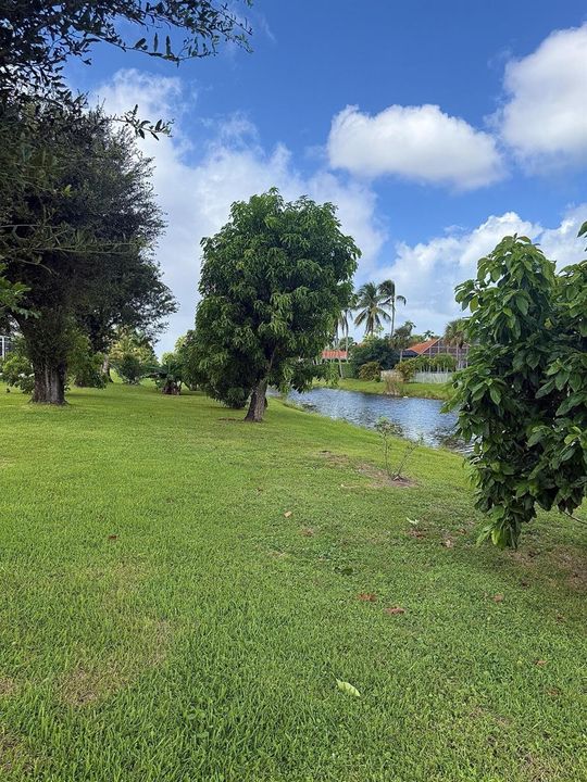 Canal front