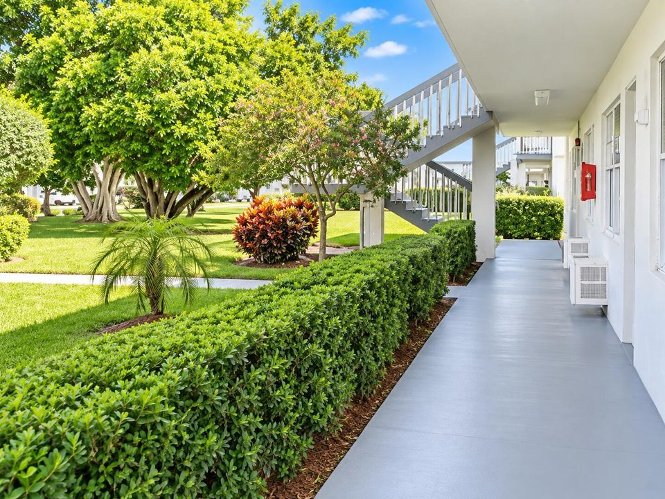 Landscape & Walking Path