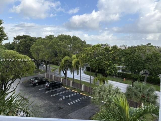 Asphalt parking area featuring marked spaces and surrounding mature palm trees and lush vegetation