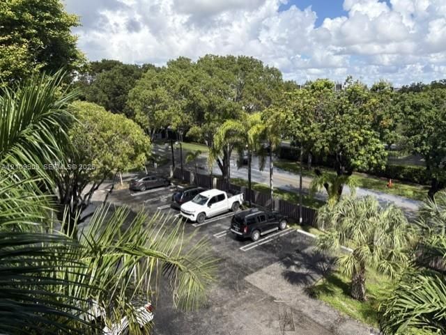 Paved surface parking area with marked stalls, surrounded by mature trees and established palm landscaping