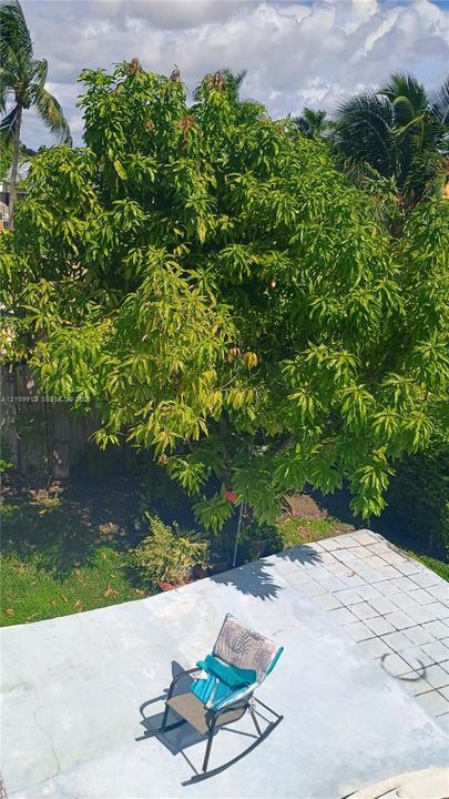 Backyard featuring a paved patio and mature landscaping