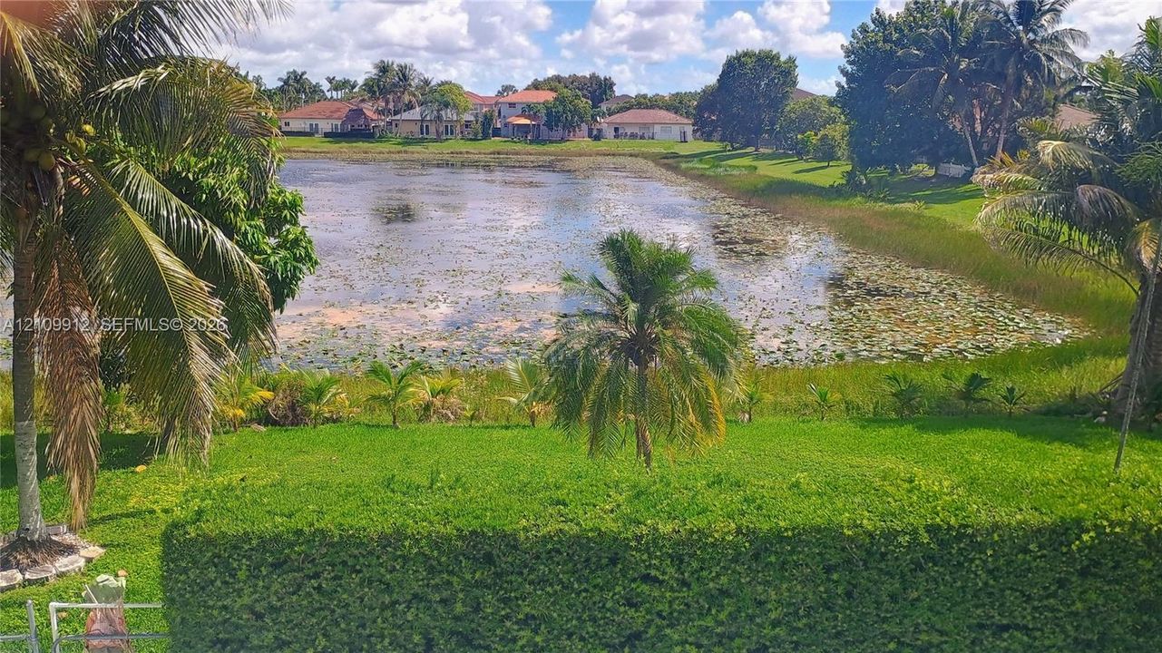 Waterfront lot featuring a manicured lawn, mature palm trees, and native vegetation