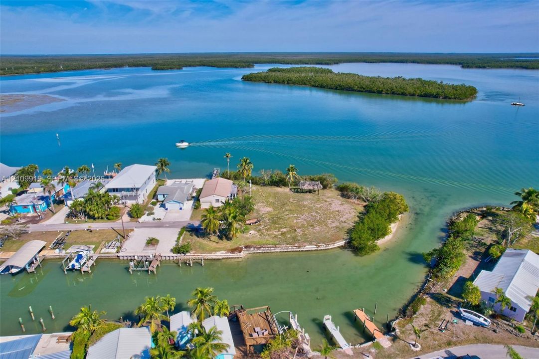 Waterfront parcel featuring direct canal access, a private dock, bulkhead seawall, and mature tropical vegetation