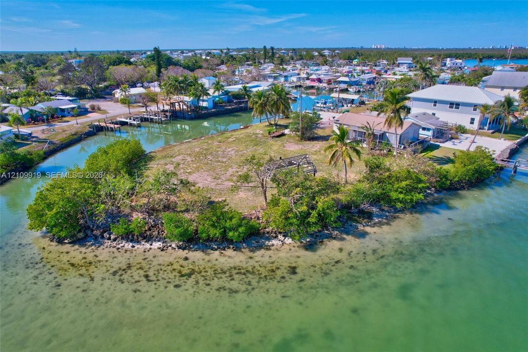 Waterfront parcel featuring direct canal access, mature palm trees, and native coastal vegetation