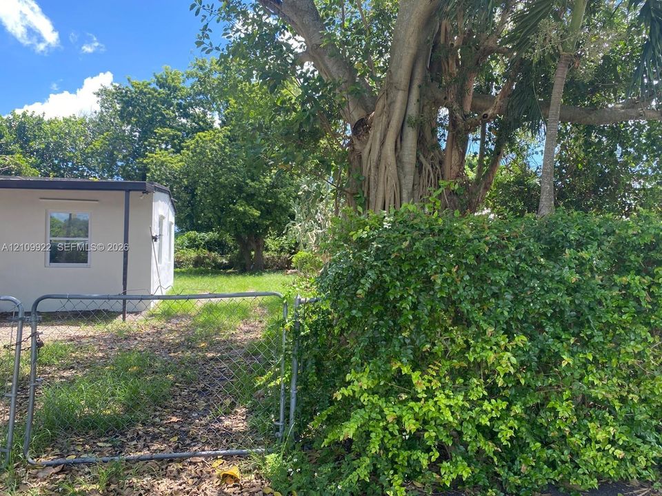Exterior space featuring chain-link fencing, mature trees, dense greenery, and a neutral-toned structure