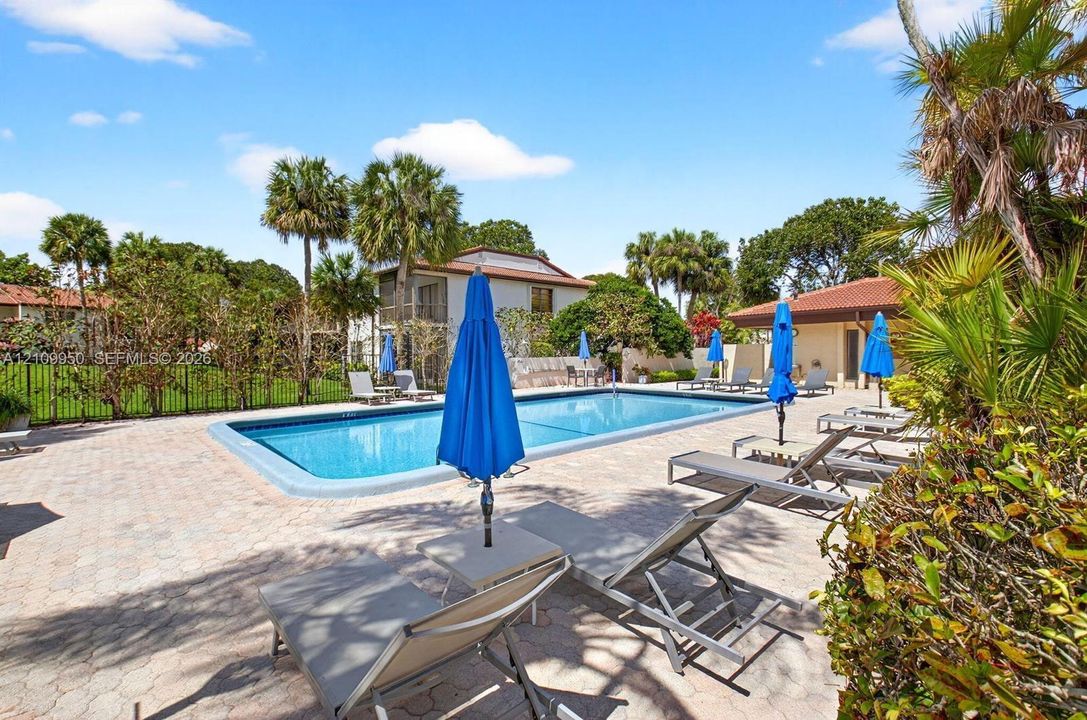 In-ground swimming pool with stone-paver decking, perimeter metal fencing, and mature palm trees