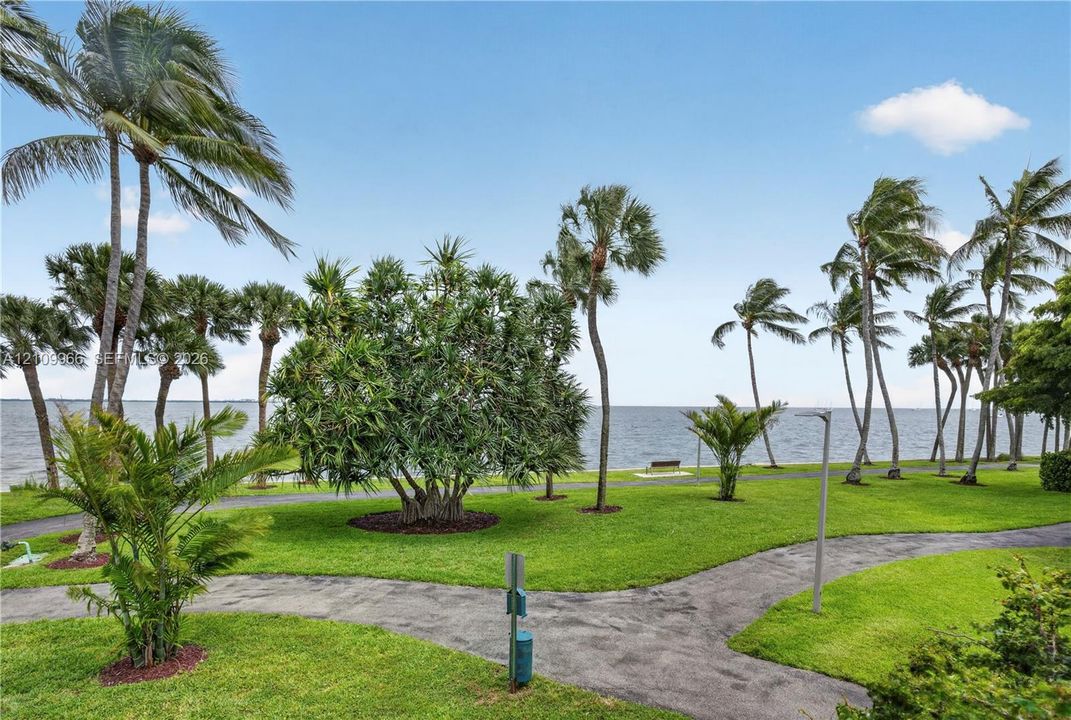 Waterfront grounds featuring mature palm trees, expansive lawn space, and paved pathways