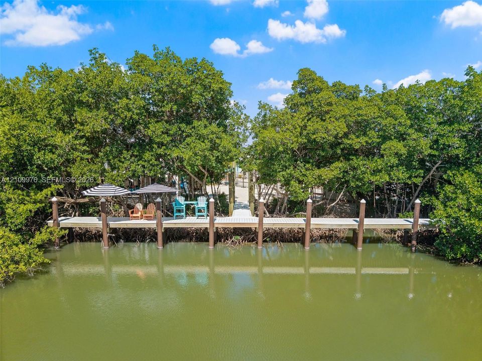 Private dock featuring wood-plank decking and anchored pilings, surrounded by mature trees
