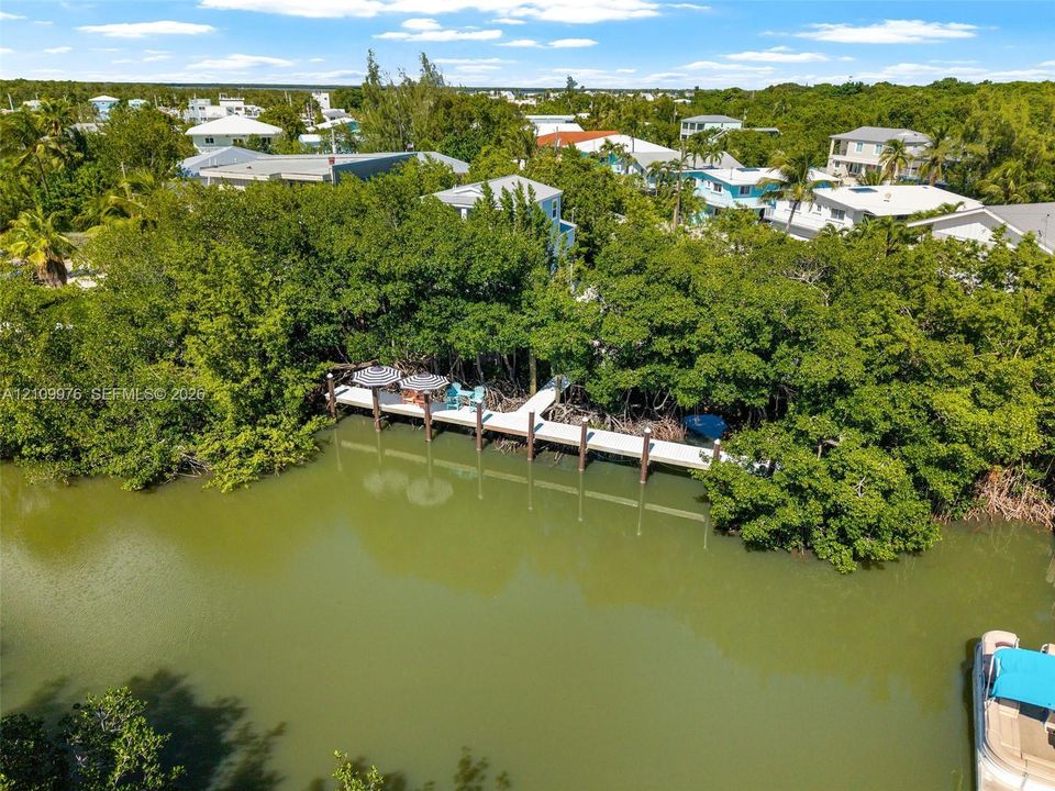 Waterfront property featuring a private dock and dense mature vegetation