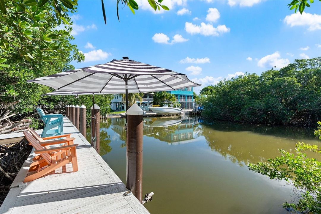 Private dock featuring wood-plank decking and vertical mooring pilings situated on a canal with mangrove foliage