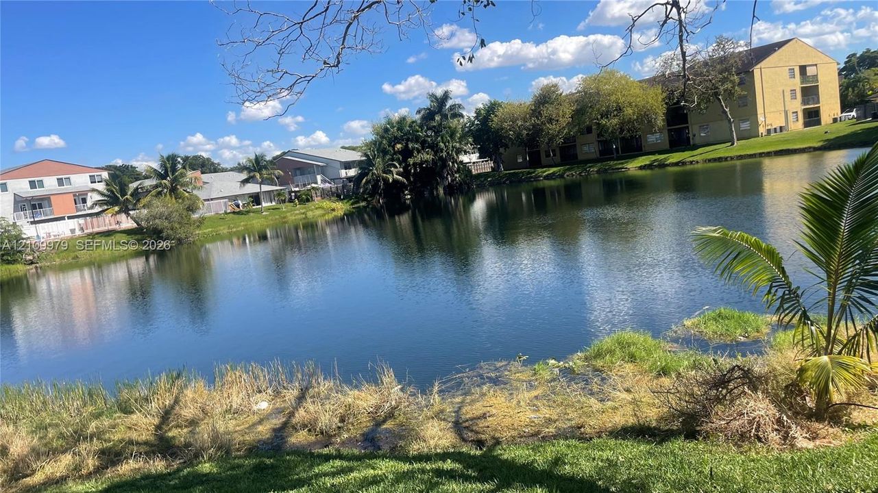 Waterfront property featuring a retention pond, palm trees, and manicured green space