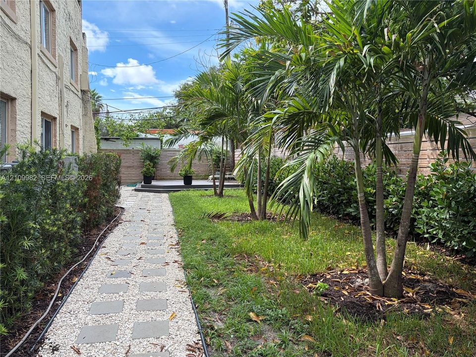 Exterior side yard featuring a crushed stone pathway with stone pavers, manicured hedges, mature palm trees, and a wooden privacy fence