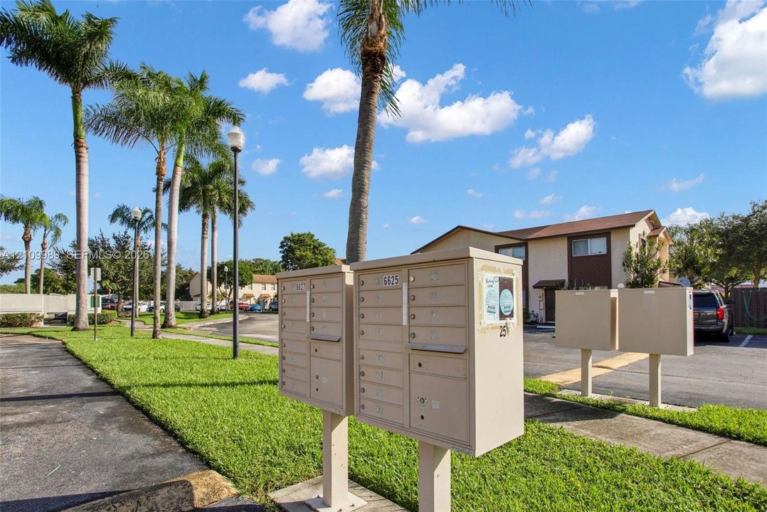 Centralized cluster mailbox station featuring metal locking compartments, positioned on paved grounds with mature palm trees and landscaped lawn