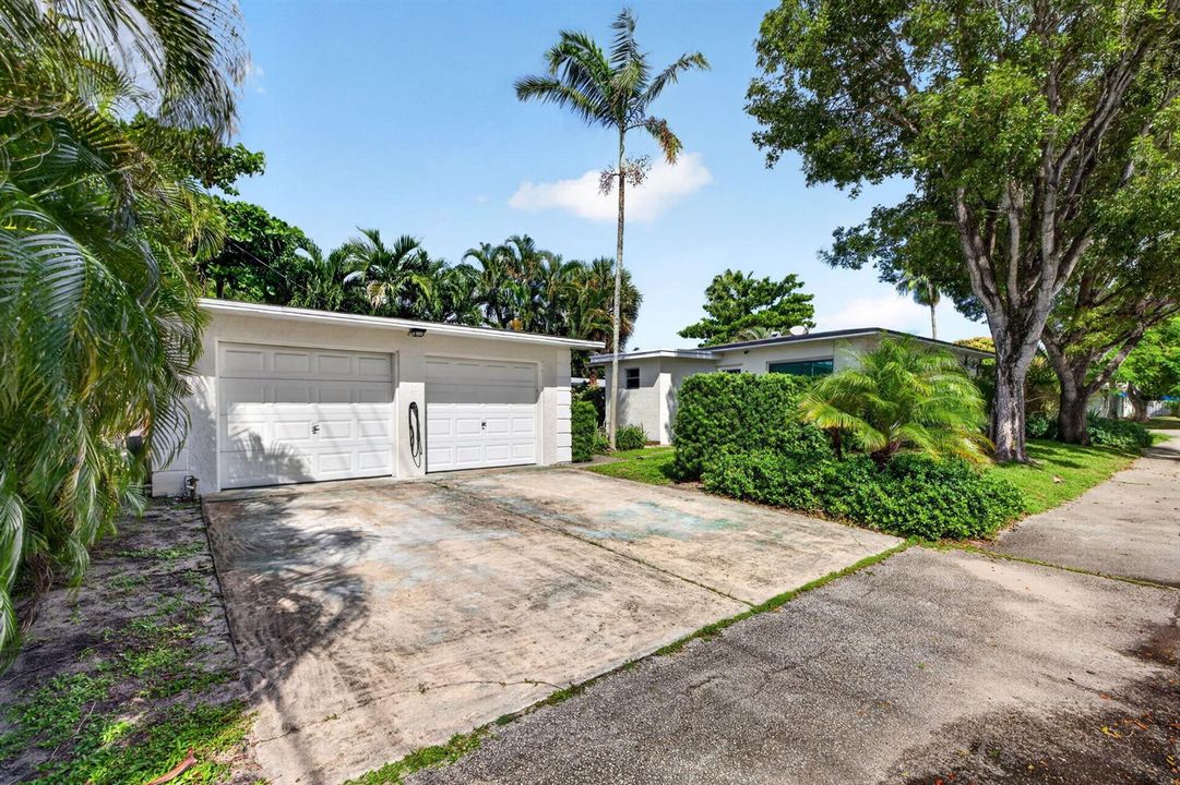 4-web-or-mls-699A2156