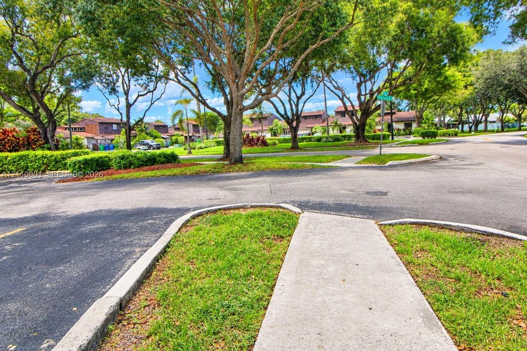 Asphalt street infrastructure featuring concrete curbing and paved pedestrian sidewalks shaded by mature canopy trees