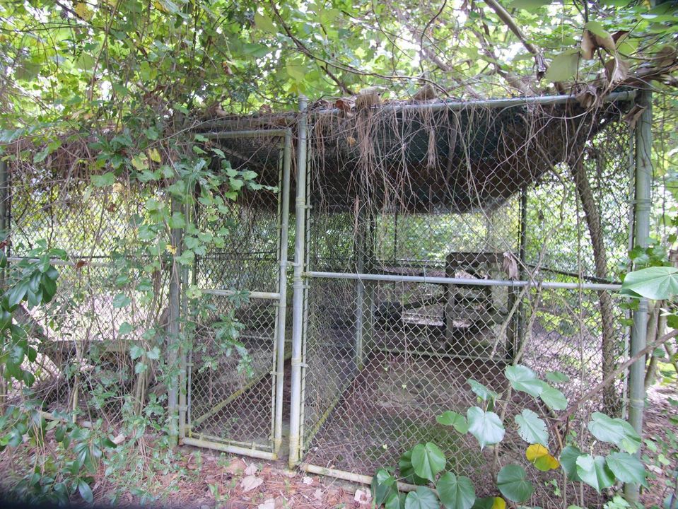 Big game & animal habitat