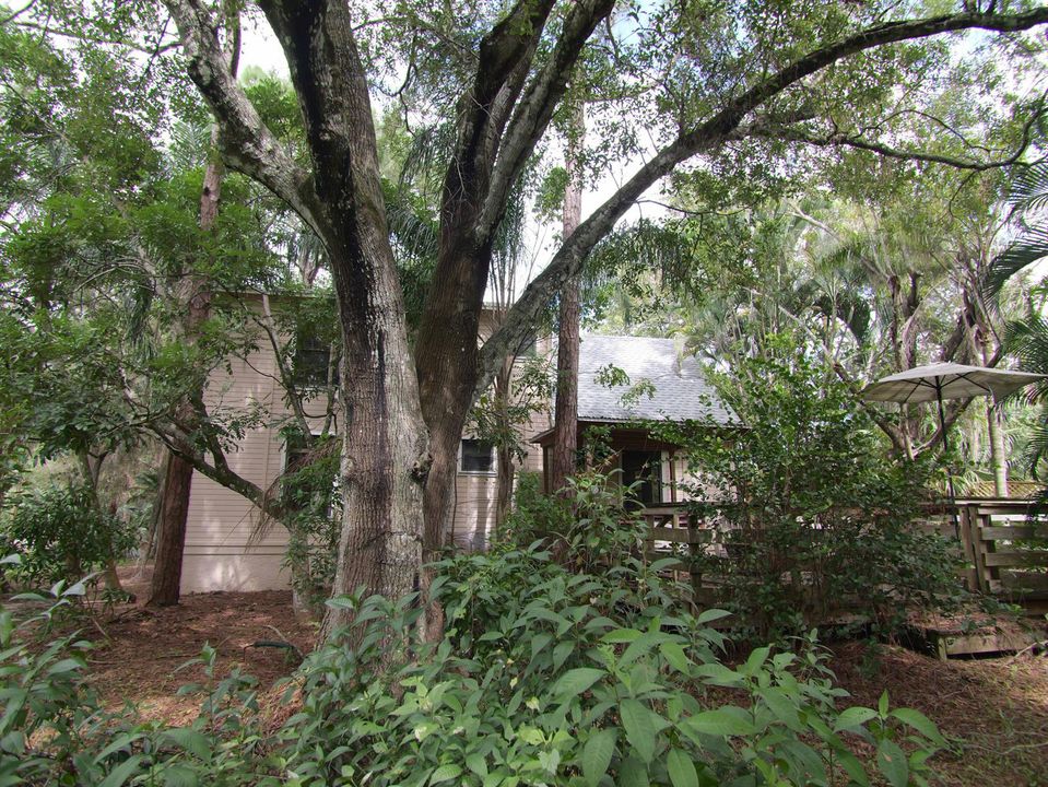 South side of hom e in Nature
