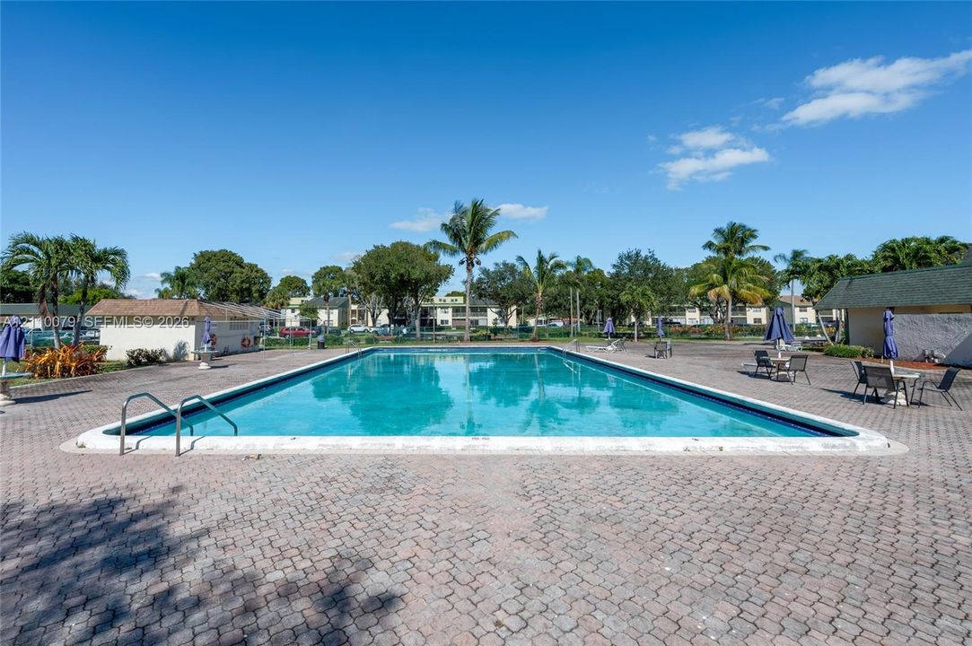 Rectangular in-ground swimming pool featuring a brick paver deck, metal entry ladders, and mature palm trees