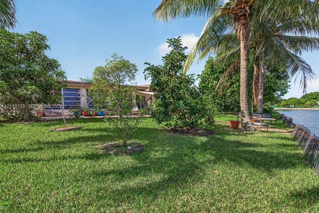 Waterfront backyard featuring a grass lawn, mature palm trees, diverse landscaping, and direct water access