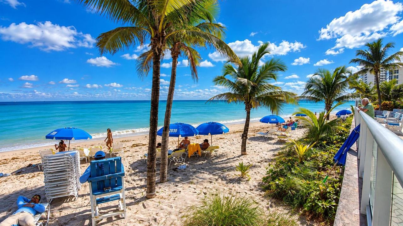 Tropical Beach Paradise with Palm Trees