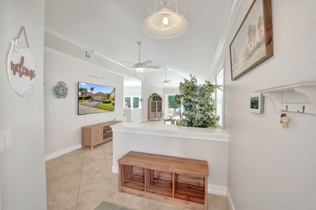 52-web-or-mls-DSC04737