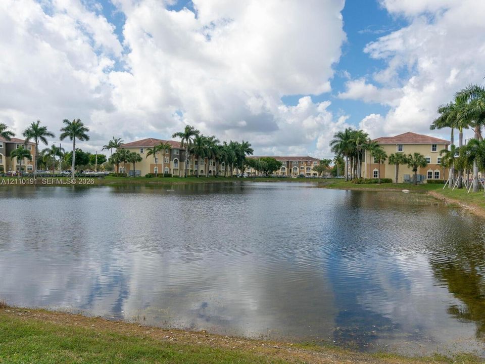 Waterfront setting featuring a central pond, exterior buildings with terracotta-style roof tiles, and mature palm tree landscaping